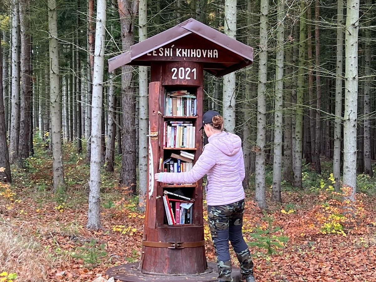 Lesní knihovna